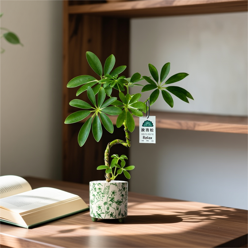 造型鸭脚木盆栽桌面中式招财摆件