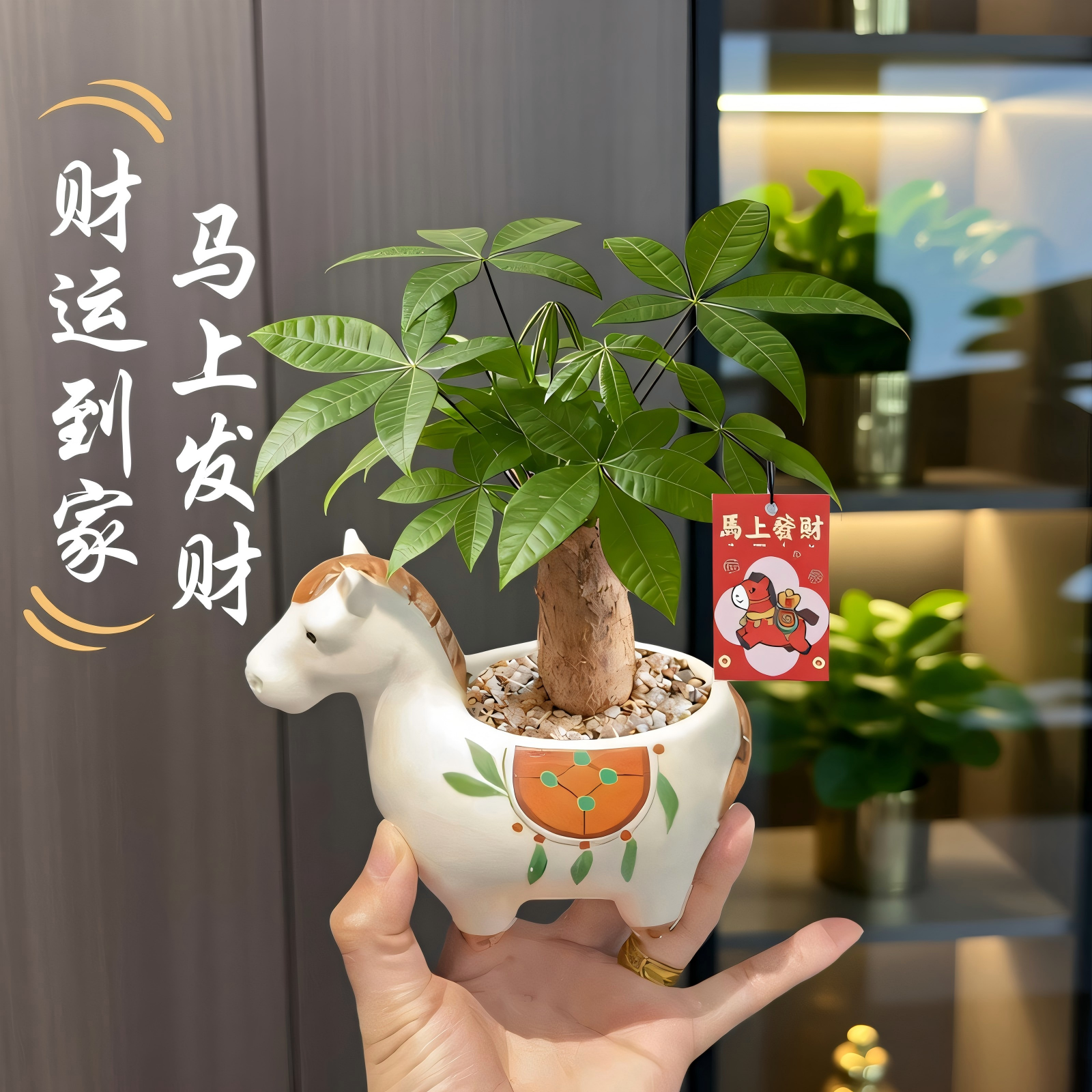 【马上发财】发财树小盆栽室内招财植物办公室绿植好养马年伴手礼,鲜花速递/花卉仿真/绿植园艺,绿植,淘宝优惠券,粉丝福利购,淘宝优惠卷