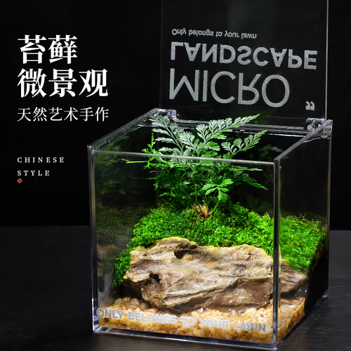苔藓微景观生态缸雨林造景客厅办公室桌面绿植盆景盆栽生态瓶送礼