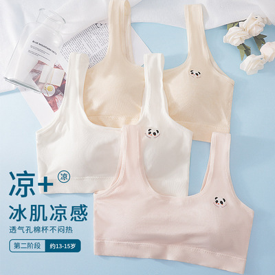 学生内衣固定杯垫初高中生运动文胸微胖加肥版发育期二阶内衣