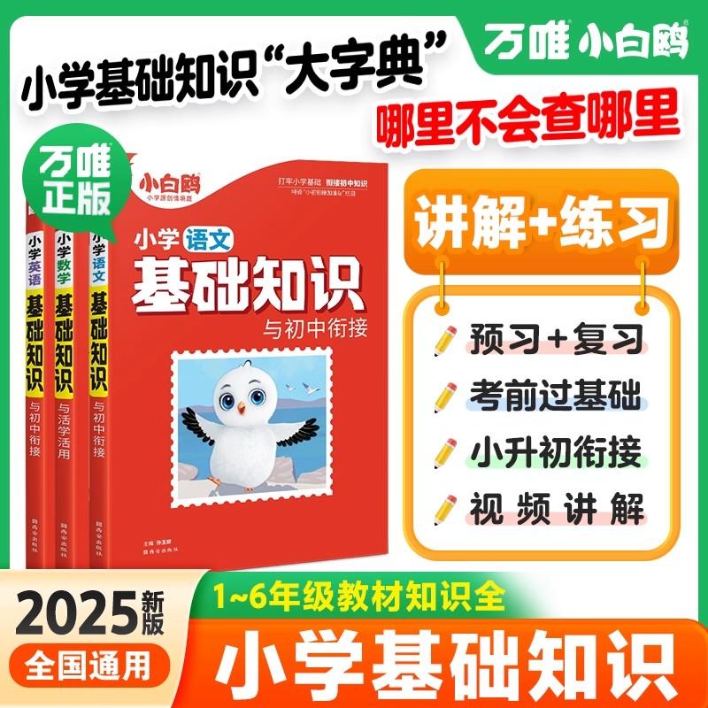 小白鸥小学基础知识与初中衔接