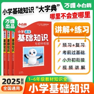 2025万唯小白鸥小学基础知识与初中衔接语文数学英语小升初总复习强化训练一二三四五六年级上下册小白鸽古诗词单词语法专项训练