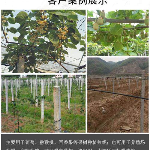 包塑钢丝拉线搭葡萄架镀锌钢丝绳百香果猕猴桃专用线大棚包胶钢线