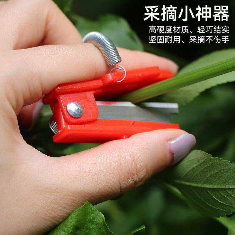 拇指采摘刀打叶摘菜工具采摘小铡刀黄瓜豆角葡萄掐须打尖打叉刀