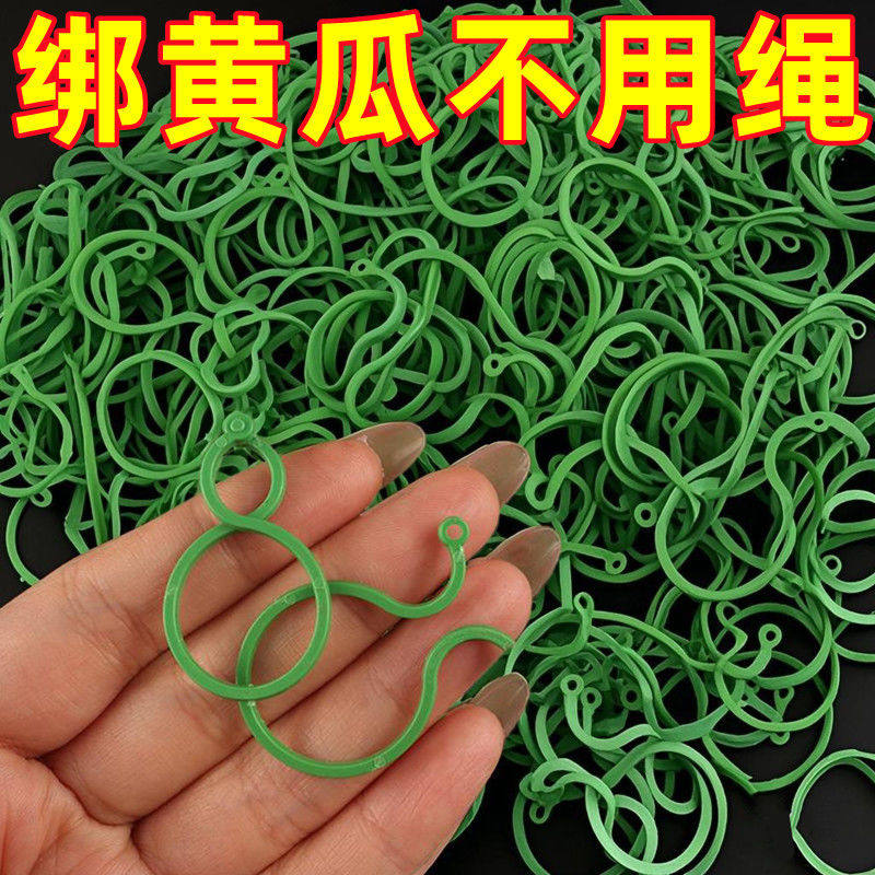 黄瓜番茄豆角爬藤绑枝8字
