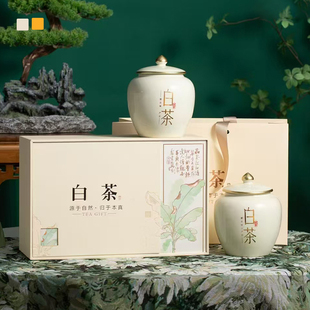 高档天目湖白茶安吉绿茶陶瓷茶叶罐空礼盒半斤装黄金芽礼盒装空盒
