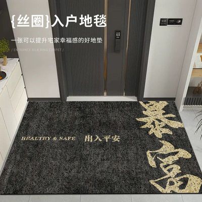 新款黑奢入户门玄关进加