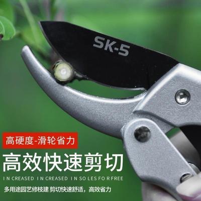 德国进口艺园剪刀滑轮修枝剪粗枝剪省力果树嫁接专用剪刀修枝