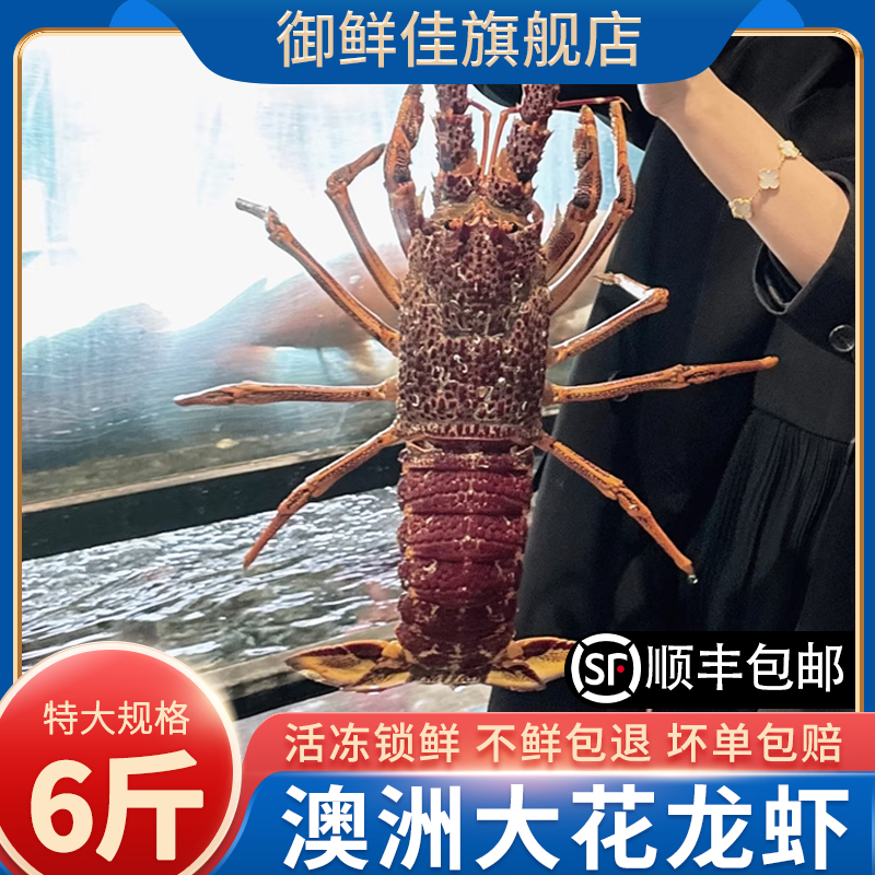 大澳龙鲜活冷冻澳洲大龙虾6斤特大波龙虾年货送礼海鲜水产大礼包