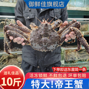 帝王蟹鲜活海鲜水产10斤特大皇帝蟹长脚蟹冷冻蜘蛛螃蟹年货大礼包