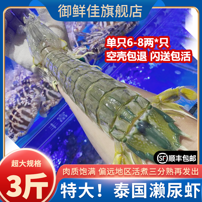 泰国鲜活特大濑尿虾3斤