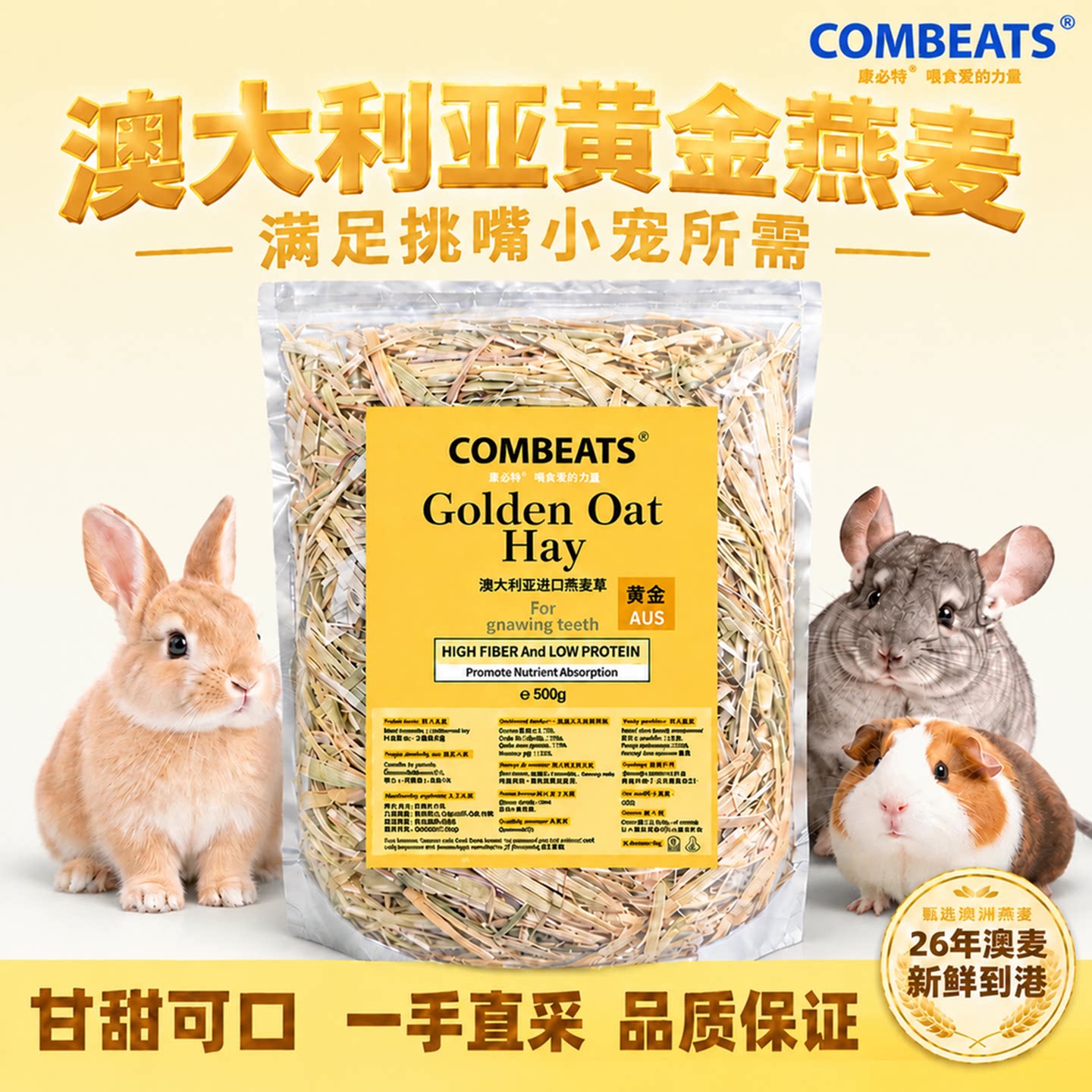 澳洲黄金燕麦草兔子草进口澳麦草