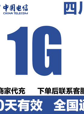 四川电信流量充值1GB流量包4G5G全国通用流量叠加油包30天有效