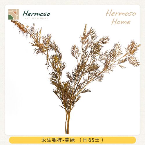 HERMOSO 永生干花仿真花树枝树叶干枝装饰品摆件陈设花插植物室内