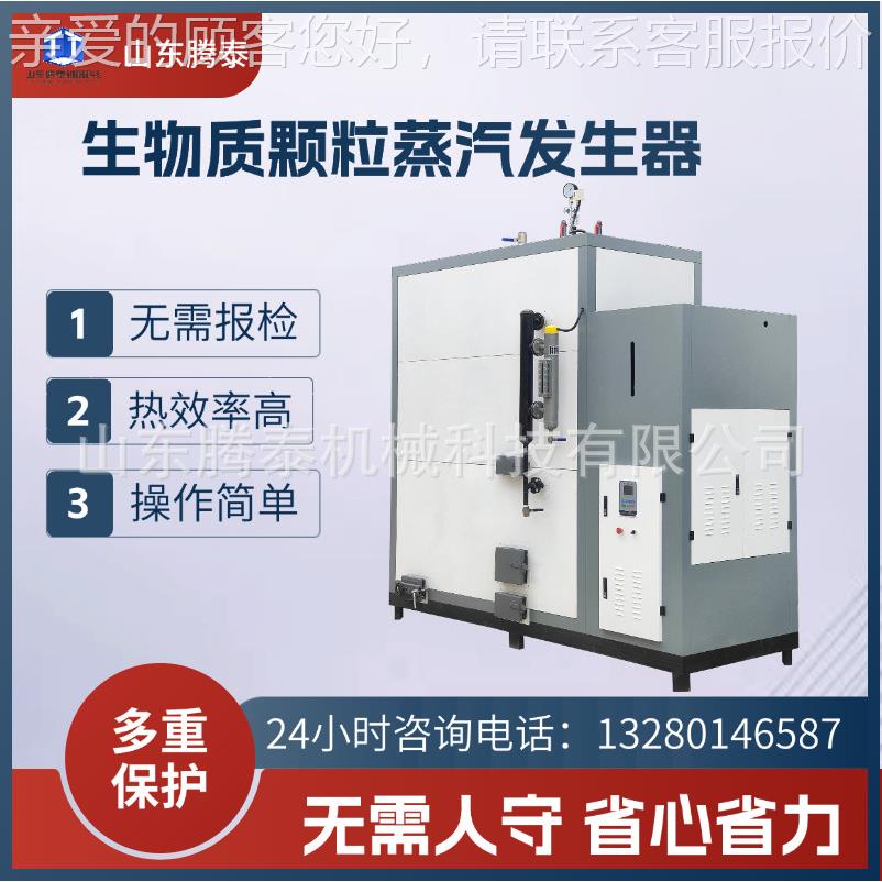 1房吨生物颗质粒蒸TT-SW100汽锅炉 桑蒸拿澡堂烘干房智能控温汽发