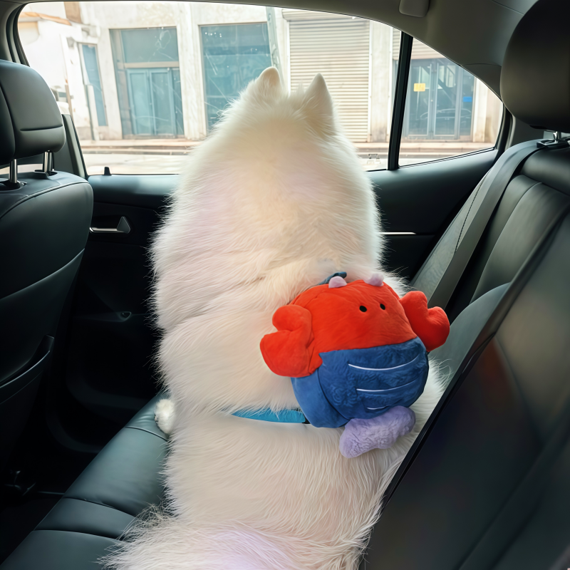 狗狗背包外出卡通大虾毛绒双肩包中大型犬萨摩耶金毛书包零食背包,宠物/宠物食品及用品,宠物背包,淘宝优惠券,粉丝福利购,淘宝优惠卷