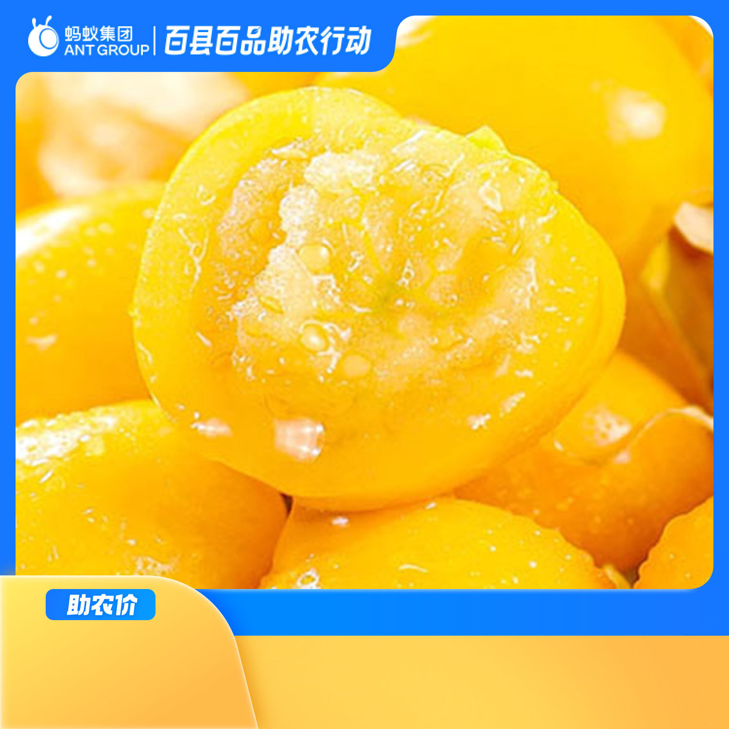 莫旗菇娘果4斤菇娘果/灯笼果
