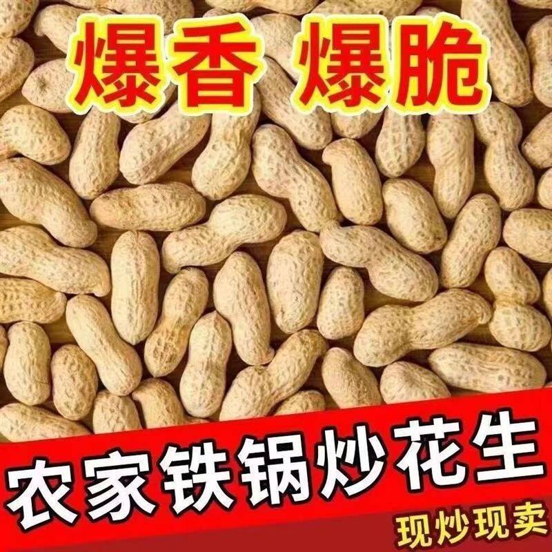炒花生原味炒熟小珍珠花生农家手工带壳现炒柴火铁锅炒熟带皮花生