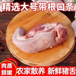 精选猪口条无注水猪舌头冷冻土猪小口条猪门腔卤味饭店食材批发