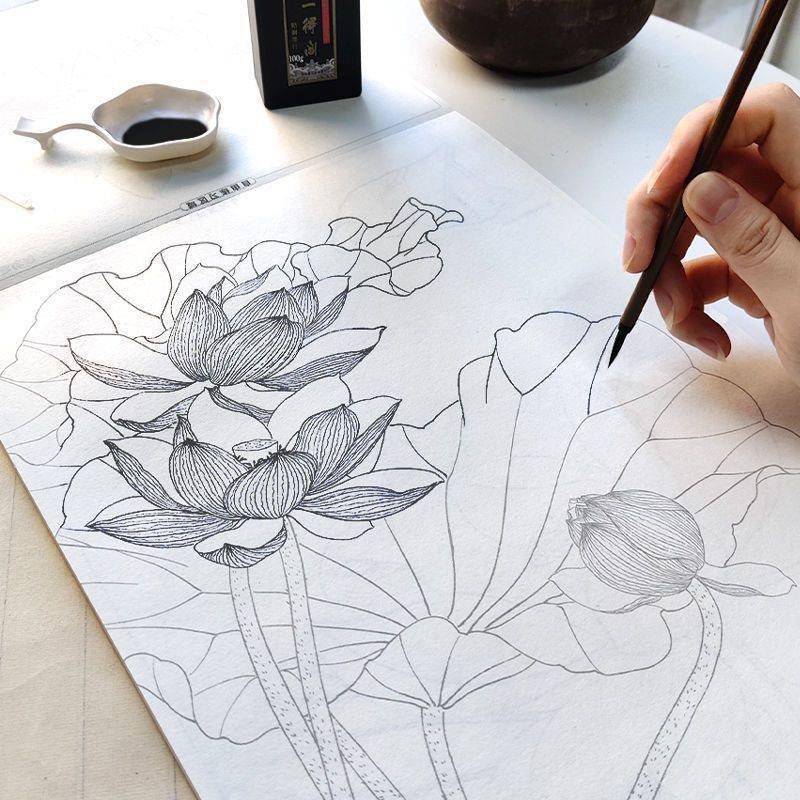 中国画白描描摹本 动物人物花卉山水工笔画白描底稿大图 临摹画册