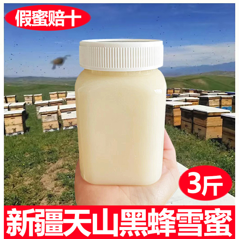 新疆天山雪蜜纯正土蜂蜜伊利黑蜂蜂蜜成熟结晶白蜜野山花蜜百花蜜