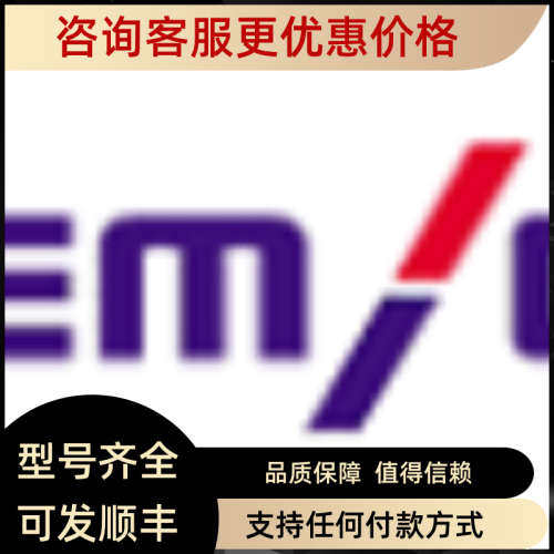 议价爱美克EMIC GM-301/GM-4000/GM-5000 孔探针