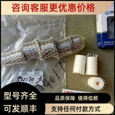 XWL-SS ARANNOVI REVERBERI高压柱塞泵