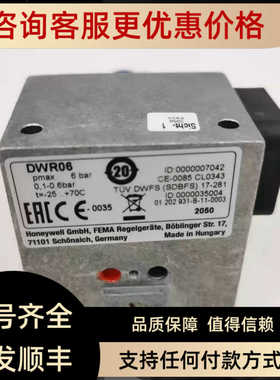 FEMA压力开关DWR06 DWR6 DWR3 DWR16 DWR25 DWR40  DCM6 EX-DNM10