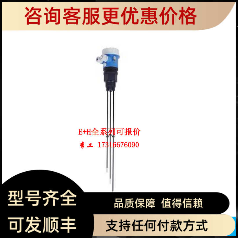 E+H数字电极CPS71D-7TP2G卫生应用场合