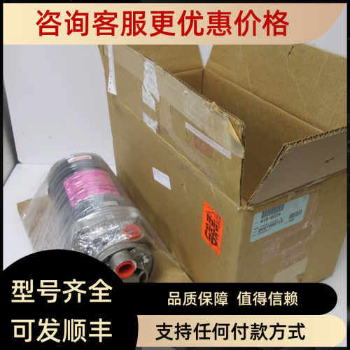 MTH泵T31G SS T31F SS E41E AB
