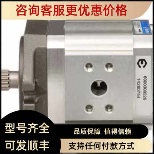 ECKERLE齿轮泵ElPC3-050RB23-10 EIPH3-032RK23-10 EIPH6-160RA23