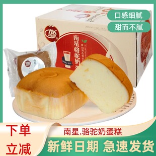 南星骆驼奶蛋糕整箱特价 手撕包办公司营养早餐食品零食小吃批发