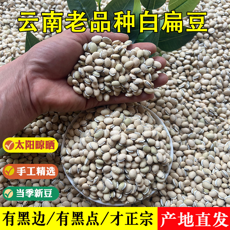 云南药用白扁豆500g精选高山白扁豆农家黑边老品种新货去湿白扁豆