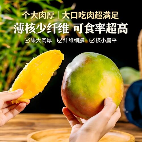 【大金子专属】攀枝花凯特芒净重9斤应季芒果皮薄肉厚多仓发货Q