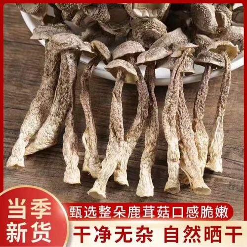 XY精品鹿茸菇 脆嫩爽口  干货【到手两包】
