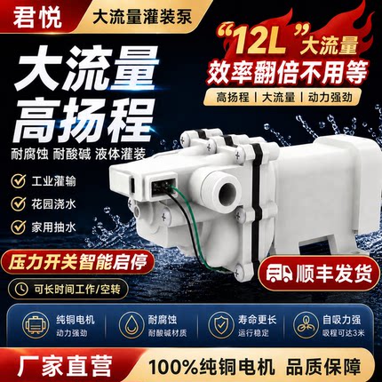 直流大流量灌装泵自吸电动抽水泵房车加水浇菜食品级尿素浇花水泵