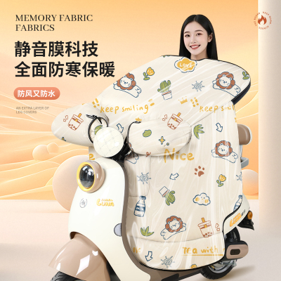 2025新款电动车双面防水加绒加厚