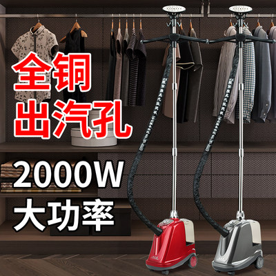 靓丽雅挂烫机商用服装店