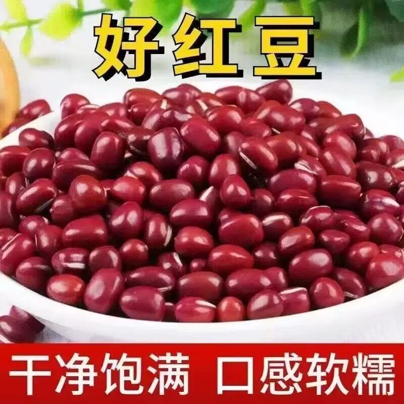 2025新货红小豆农家自种红小豆打豆浆专用生发豆芽当季新鲜高蛋白