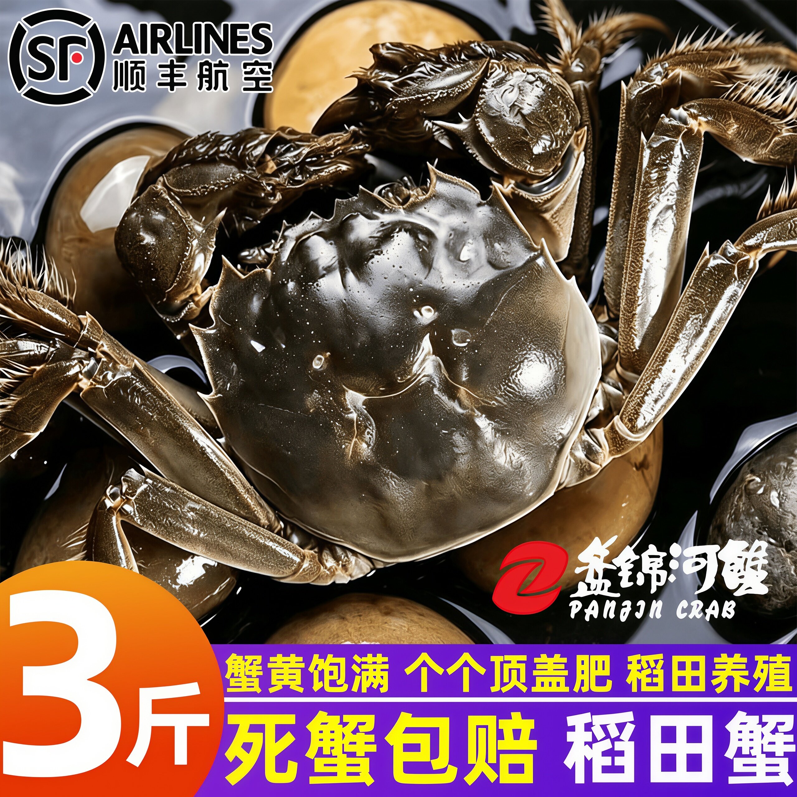 盘锦鲜活母河蟹壳薄肉嫩包邮