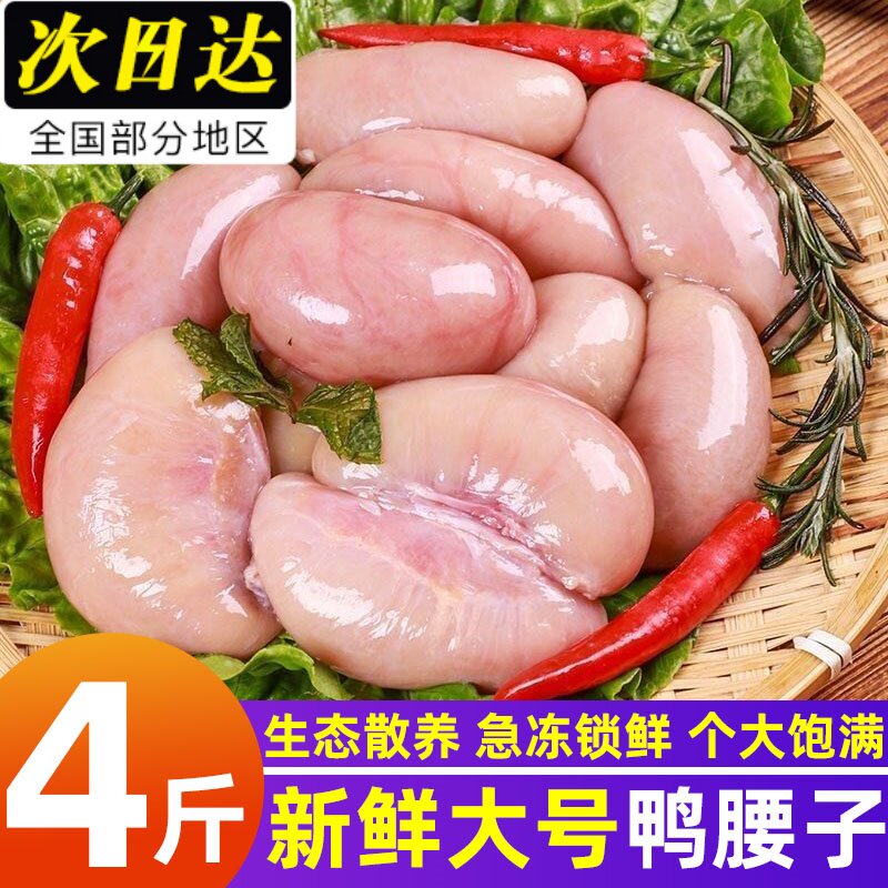 散养公鸭腰子新鲜大号冷冻土鸭卵