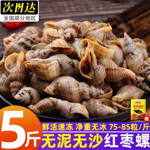 辽宁丹东鲜冻贝贝螺海瓜子螺