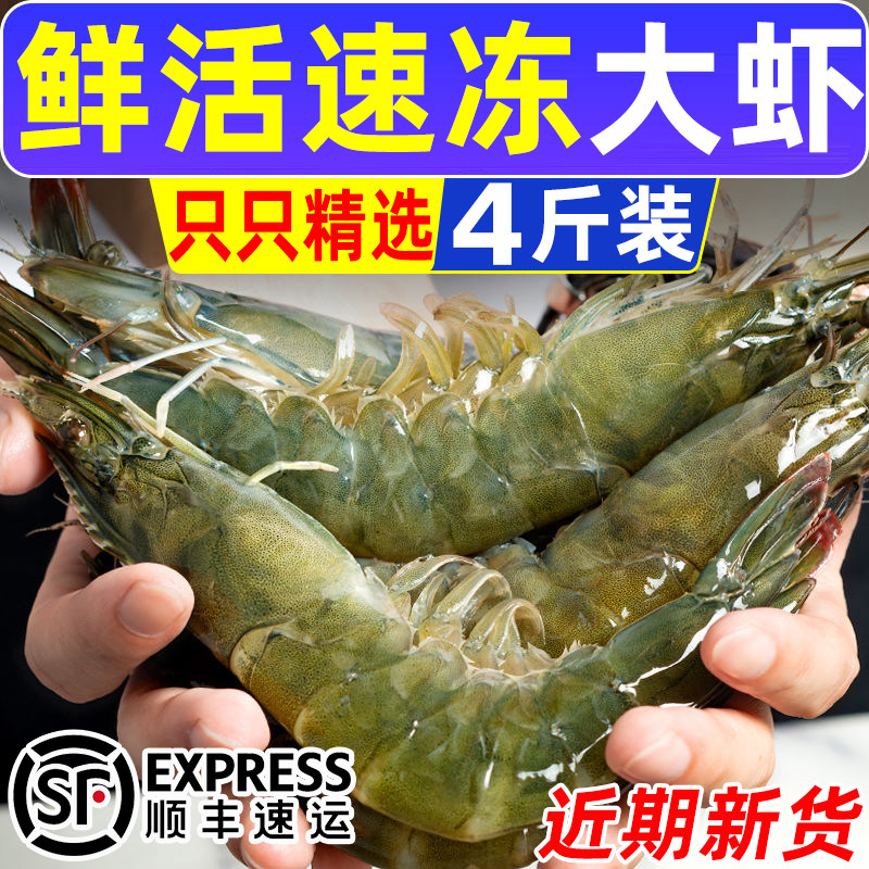 大虾鲜活超大回头客超多