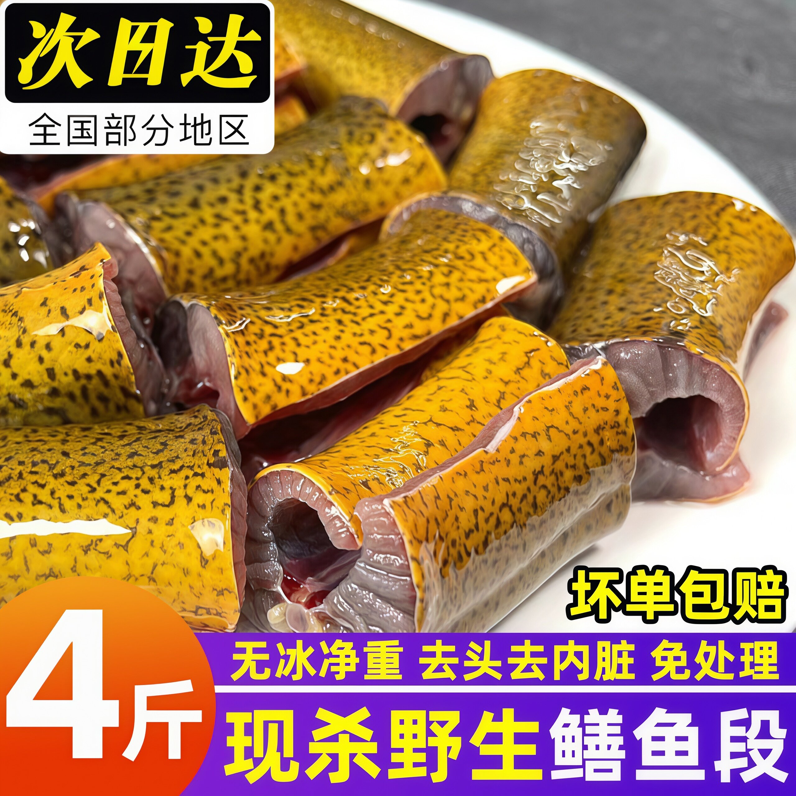 黄鳝段新鲜鳝鱼段鲜活黄鳝鱼包邮