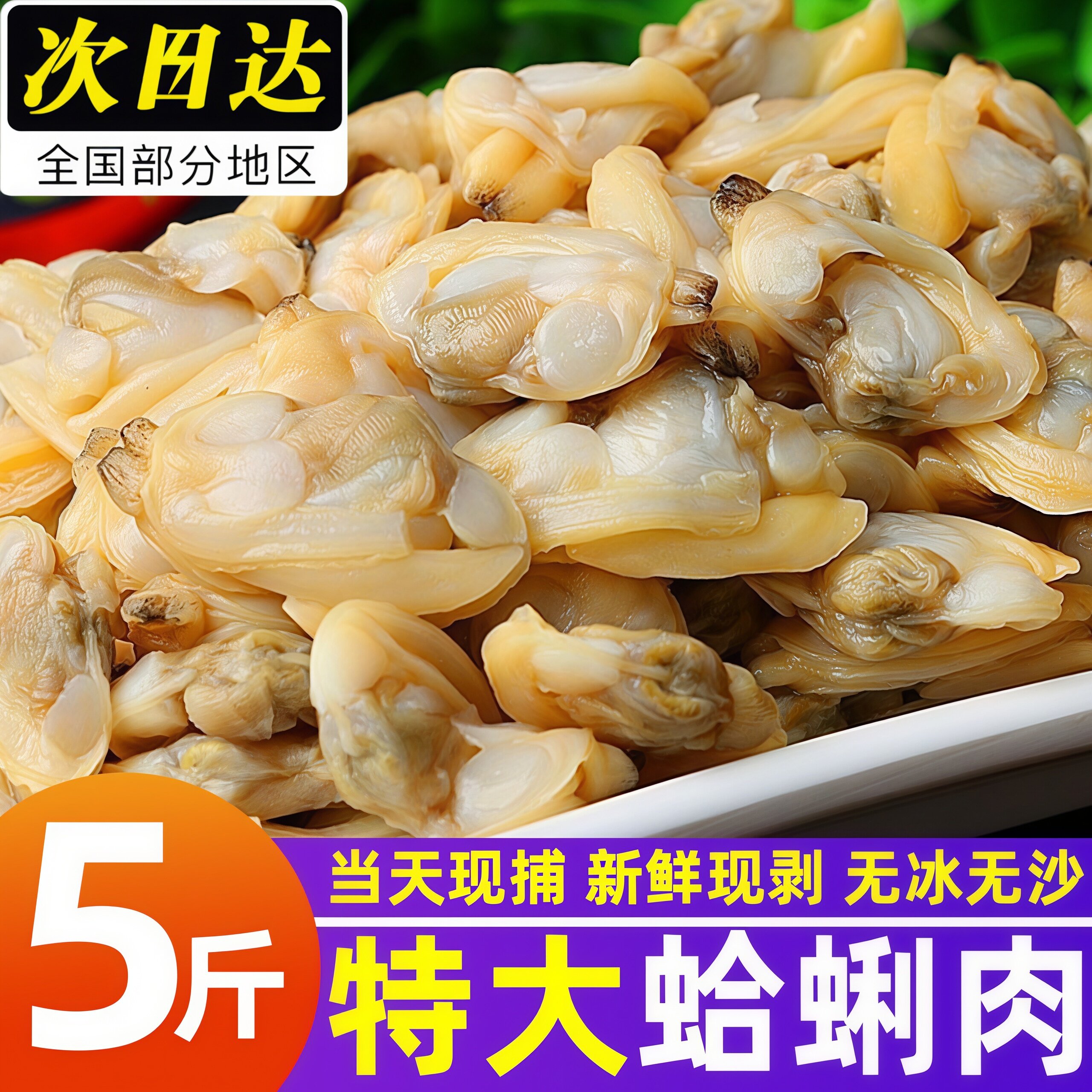 特大蛤蜊肉新鲜花甲肉鲜活现剥