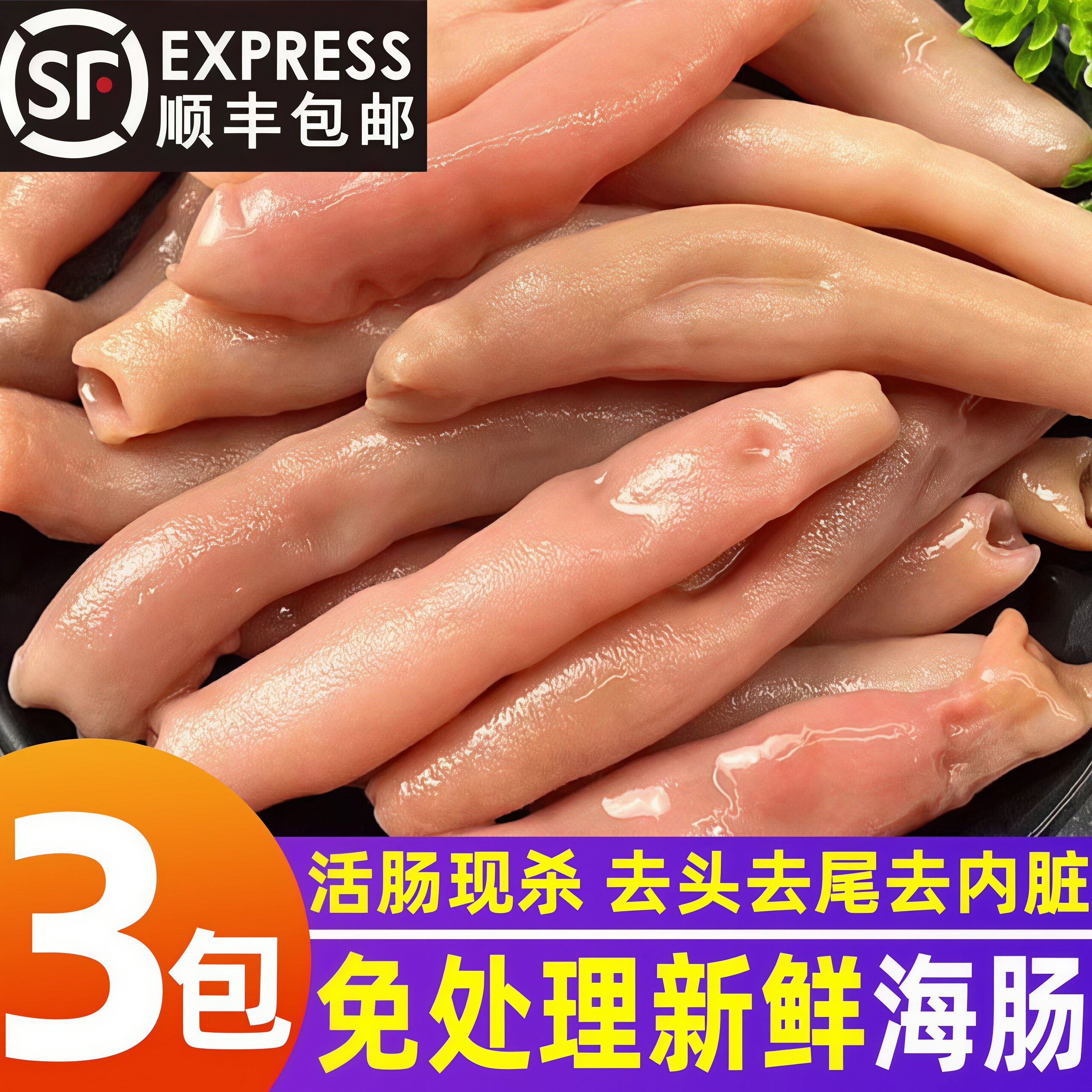 新鲜海肠鲜活海肠子急冻丹东沙虫