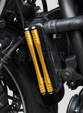 适用于川崎Z650RS改装水箱条 水箱保护装饰条 21-25年 铝合金材质