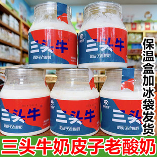 内蒙古特产奶皮子酸奶图腾牧场三头牛奶皮子老酸奶内蒙经典老酸奶
