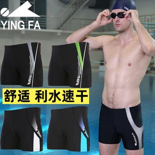 男士 裤 平角速干游泳裤 大码 头温泉 专业运动男泳衣时尚 英发泳裤
