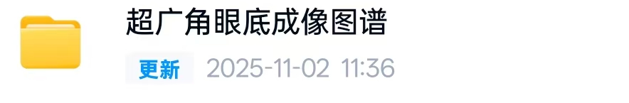 超广角眼底成像图谱PDF欧堡眼底照相pdf学习资料文档电子版